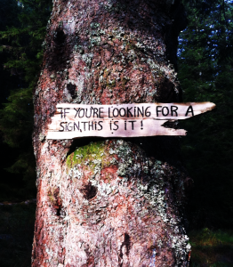 Sign on Tree